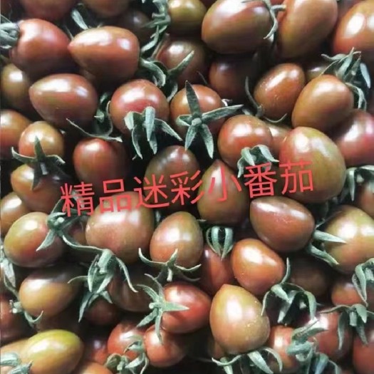 寿光市山东寿光，5月10号迷彩2.7左右，