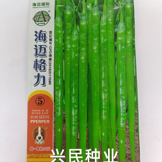 华容县海迈格力5长线椒辣椒种子F1 早熟皮薄辣味强 嫩果绿色 高产