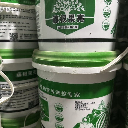东港市藤根果亮