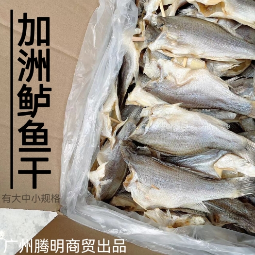 广州加州鲈鱼干干货淡水鱼干下饭菜广东特产风干腌制咸鱼干
