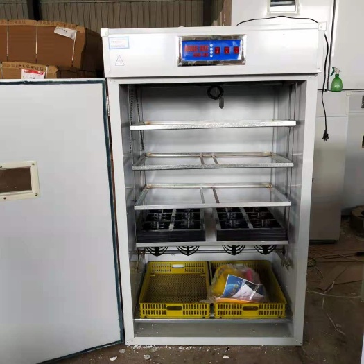 德州热卖全自动小型鸵鸟蛋孵化机鸵鸟孵化器12枚鸸鹋孵化机卵化箱