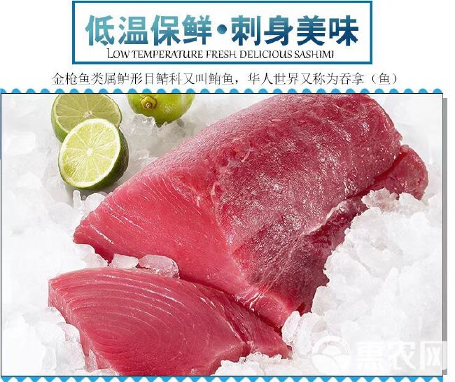 金枪鱼刺身新鲜冷冻大目金枪鱼肉商用生鱼片寿司专用日料黄鳍蓝鳍