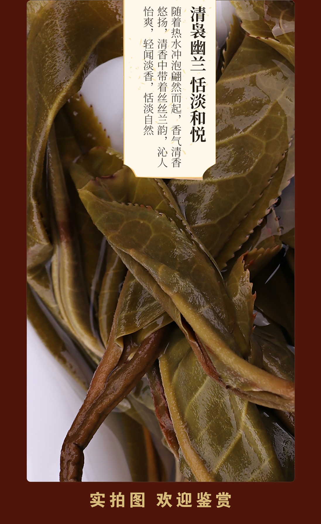 茶农直销300年迷帝古树茶头春岁俸京师357克云南七子饼生茶