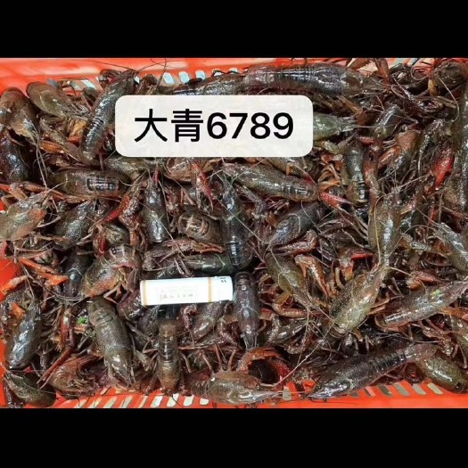 监利市小龙虾