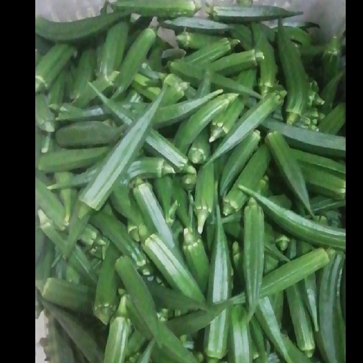 大量出售秋葵