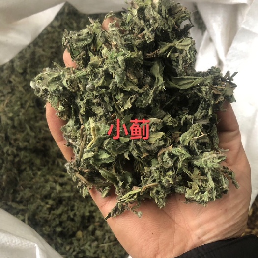 小蓟，全部过完筛子，里面无杂草。