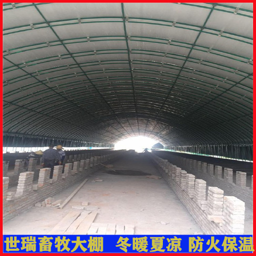 宁津县温室养鸡大棚建设肉鸡保温大棚搭建蛋鸡养殖棚施工材料