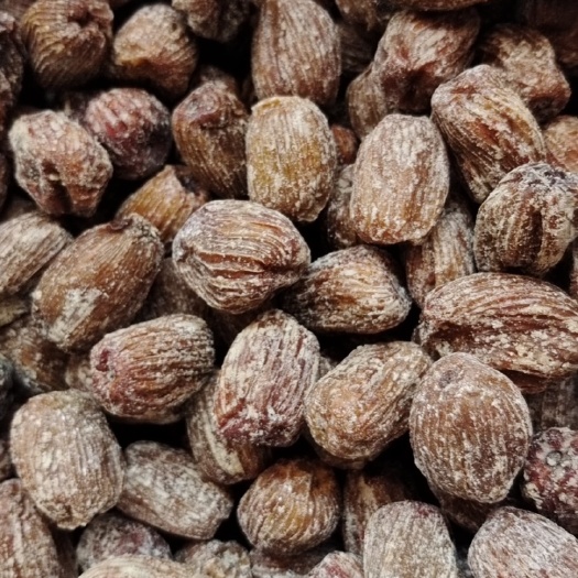 佛山蜜枣金丝蜜枣包邮