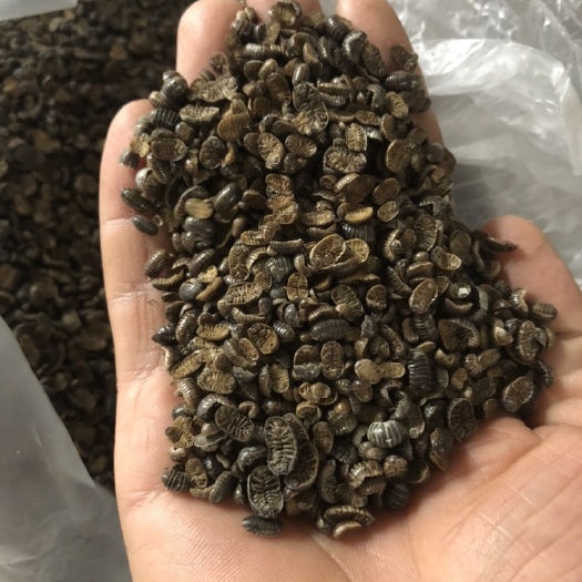 长葛市西瓜虫，潮虫一手货源
