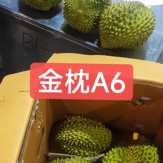 防城港泰国金枕榴莲