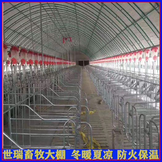 宁津县养猪场猪舍建设养猪大棚搭建黑猪养殖大棚建造材料