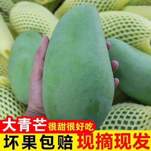 凭祥市芒果新鲜10斤广西大青芒特大水果生鲜整箱应季当季青芒果包邮