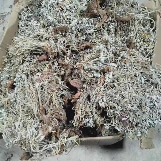 深圳干岩矸，毛黄莲出售……
