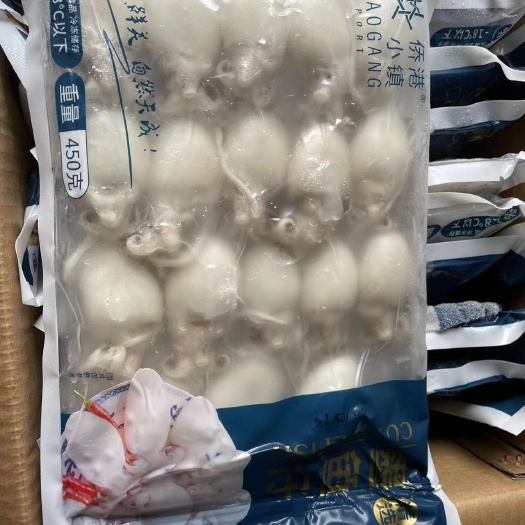 佛山板冻墨鱼仔