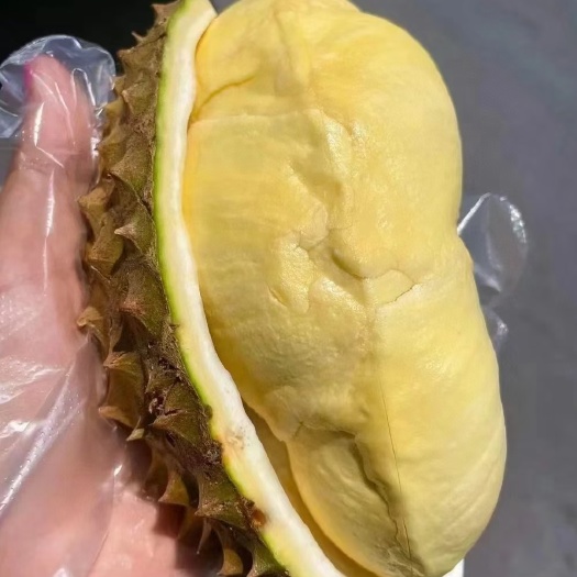 昆明泰国金枕榴莲