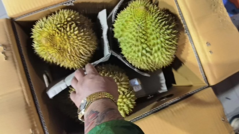 任丘市金枕榴莲