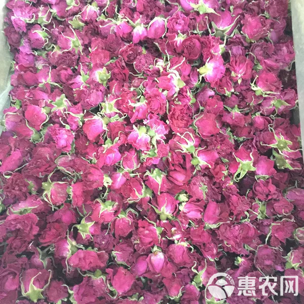 玫瑰花茶 平阴玫瑰花冠