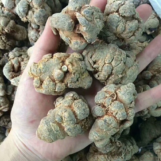 三七   文山三七  三七粉（现打粉）