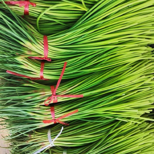 冠县红帽蒜苔
