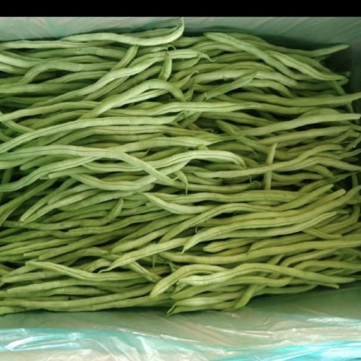 西和县豆王特卖