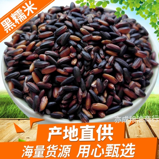 临沂血糯米批发东北黑糯米五谷杂粮 糯性好25kg