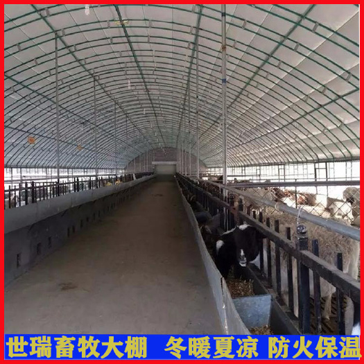 宁津县搭建养羊大棚材料肉羊养殖大棚建设钢管羊舍大棚安装