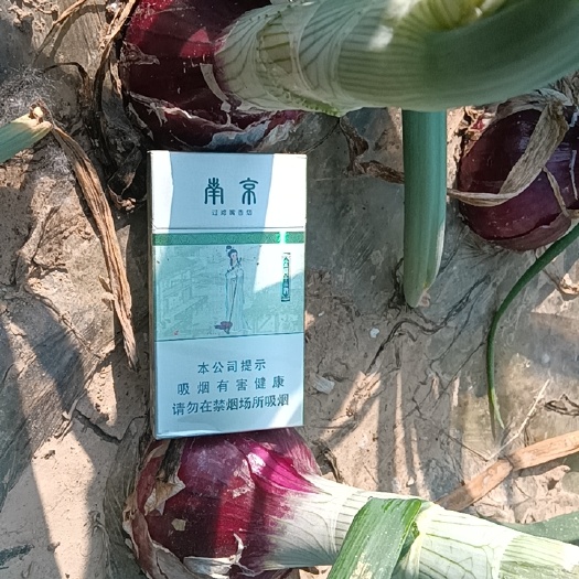 丰县富红，洋葱