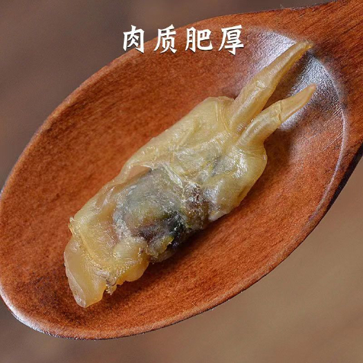 霞浦县福建海产干货无沙蛏干竹蛏新鲜海鲜煲汤食材大海蛏子肉干厂家批发