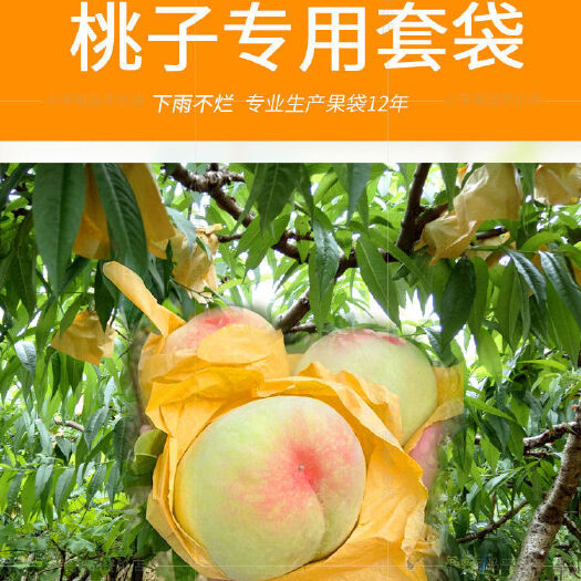 义乌市桃子套袋桃子专用袋桃袋水蜜桃毛桃黄桃套袋果套袋防水防鸟防虫