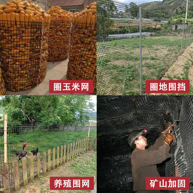 抗晒荷兰网塑料养殖网圈地围栏网拦鸡鸭网鱼塘大棚防兜水网玉米网