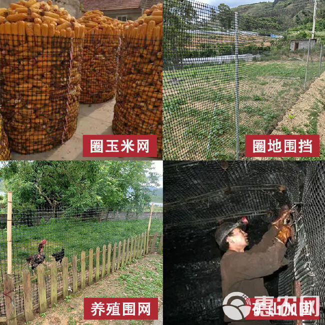 抗晒圈玉米网荷兰网塑料养殖网圈地围栏网拦鸡鸭网鱼塘大棚防水网