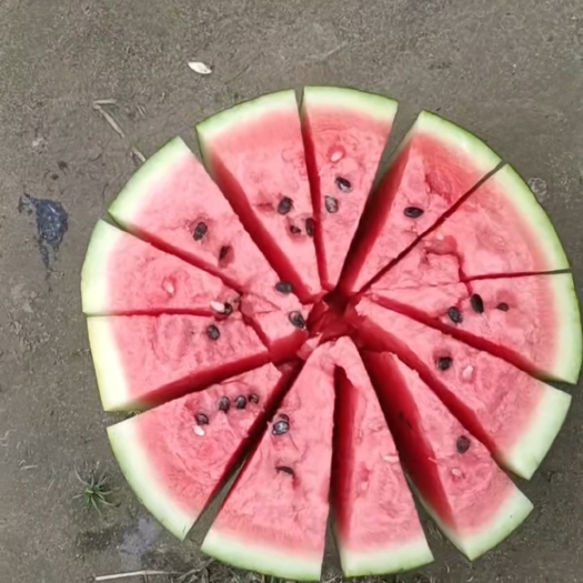 西安大棚精品甜王