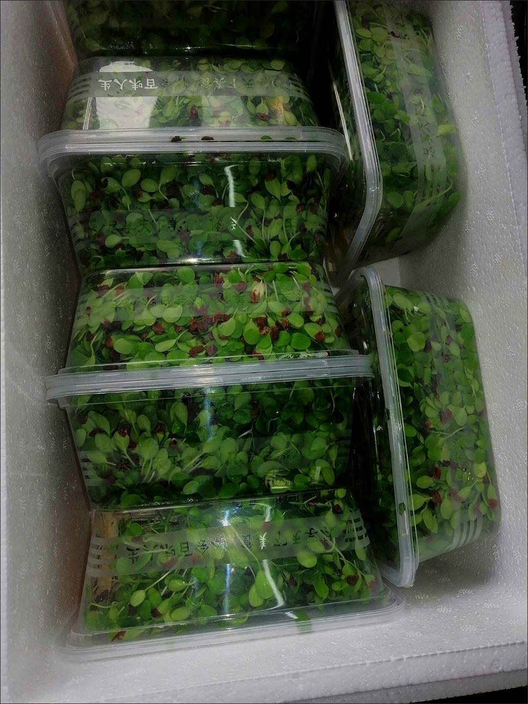 香椿苗新鲜可口，营养价值高