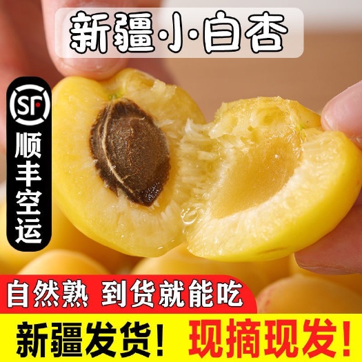 新疆轮台小白杏，电商一件代发，落地配，社区团购