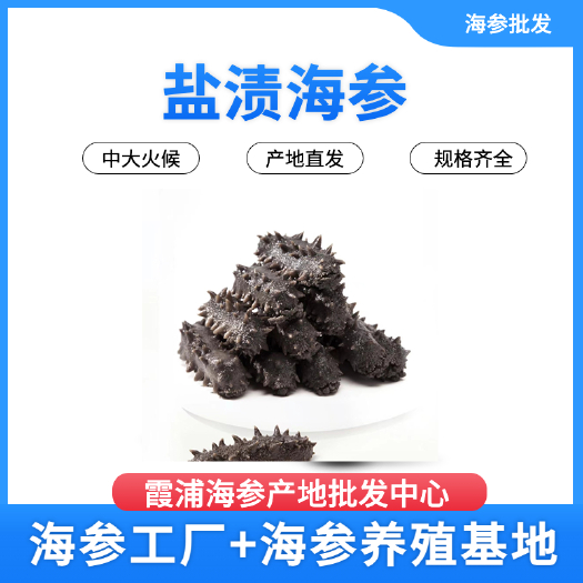 霞浦县霞浦海参  一手货源大火候拉缸盐海参20-30头量大价格优势