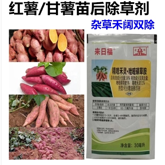 武汉来日福甘薯红薯除草剂16%精喹禾灵唑嘧磺草胺地瓜田苗后杂草
