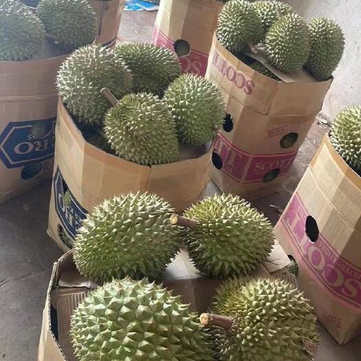 东兴市越南榴莲干尧