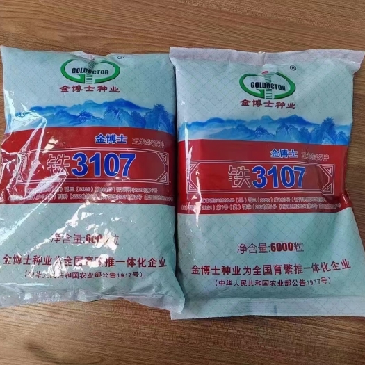 丹东金博士铁3107～高产高抗，玉米品种…平岗洼盐碱沙地均可种