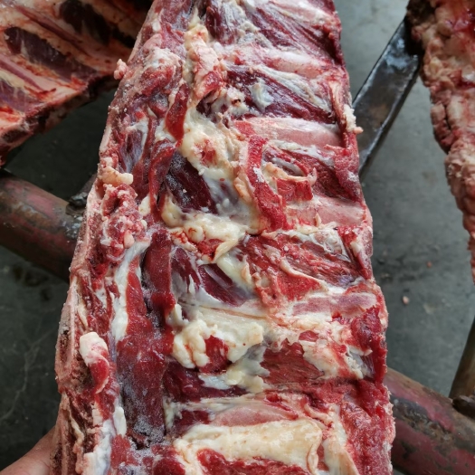 肃宁县牛脊骨