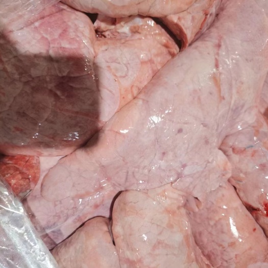 临沂食用级猪肺