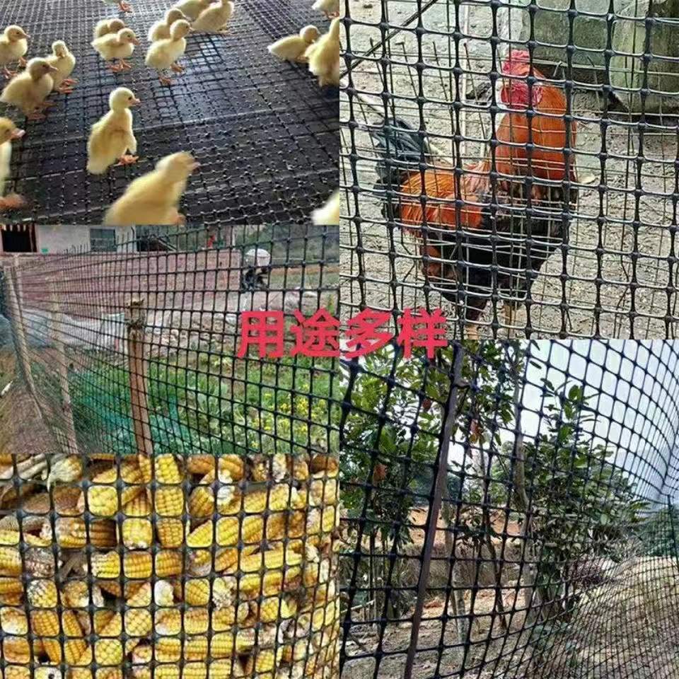 抗晒荷兰网塑料养殖网圈地围栏网拦鸡鸭网鱼塘大棚防兜水网玉米网