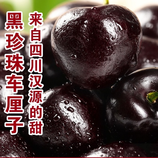 汉源县汉源黑珍珠车厘子1件代发
