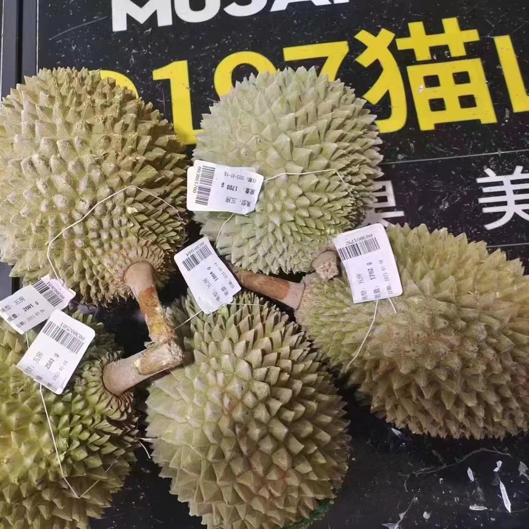 【顺丰包邮】猫山王榴莲D197马来西亚冷冻水果带壳果肉新鲜