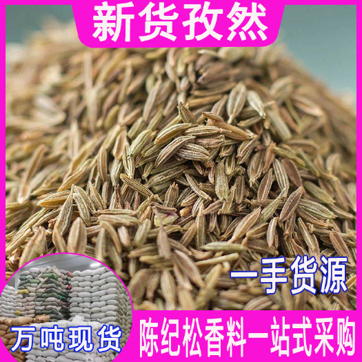 玉林新货孜然 烧烤调味料孜然粉孜然粒 现打现磨孜然香辛料批发