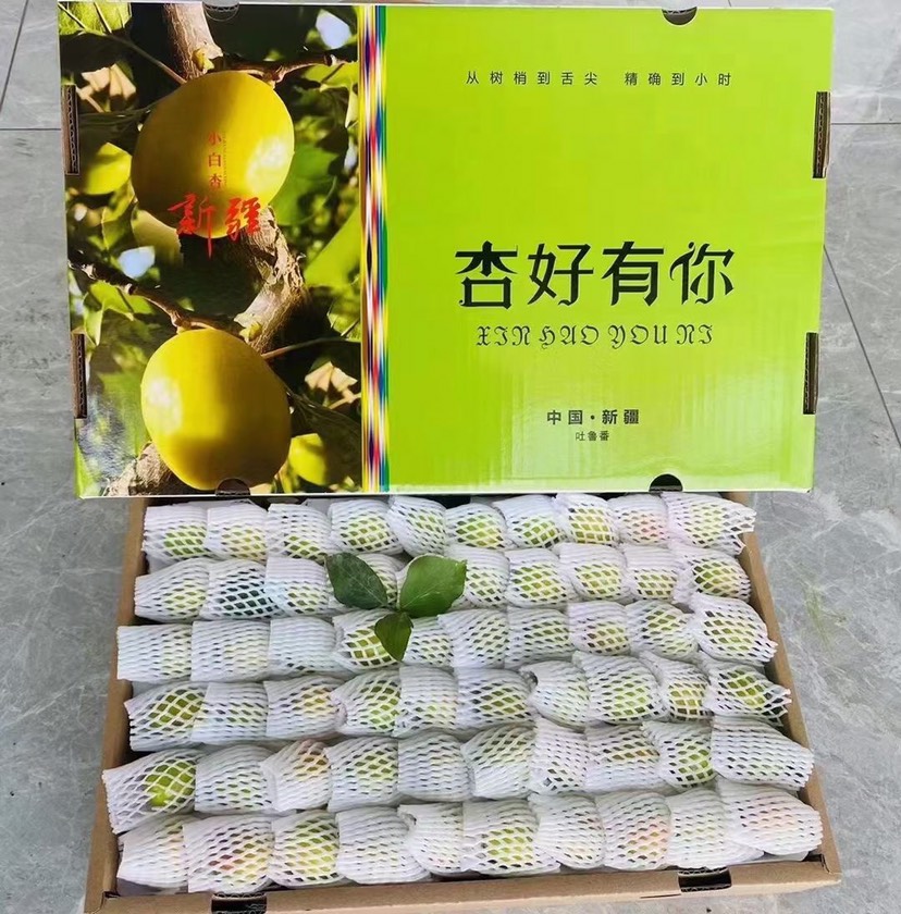 吐鲁番新疆特产小白杏 新鲜小白杏 4斤顺丰空运包邮 新疆发货坏果包