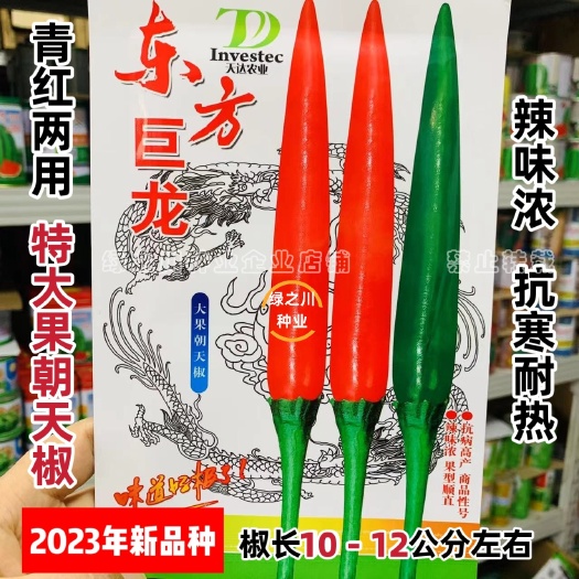 沭阳县云南热销泰国大果朝天椒种子青红两用海拔适应性广大号朝天椒种籽