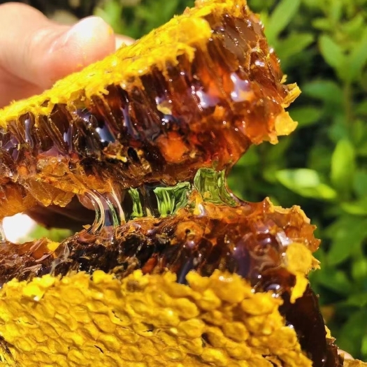 西双版纳原始森林里的野生百花蜜，花香浓郁，又香又甜，稠度好