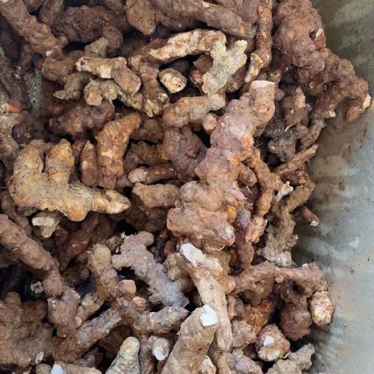贺州白肉粉质土茯苓鲜货现货
