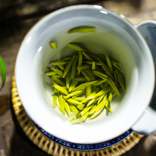 永川秀芽2025年新茶重庆特产礼盒装毛尖早春茶叶明前绿茶