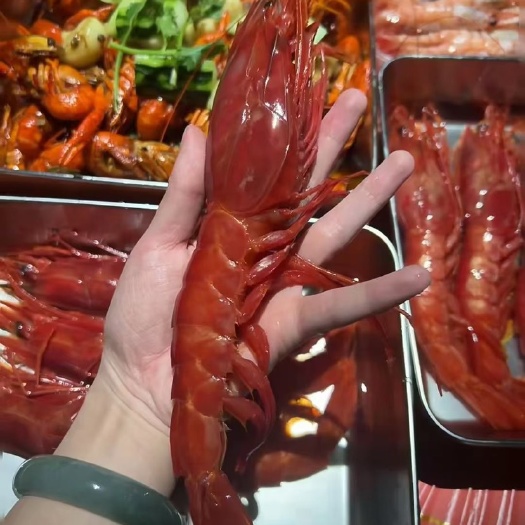上海西班牙红魔虾，全规格